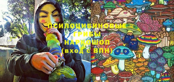 гидропоника Ивантеевка