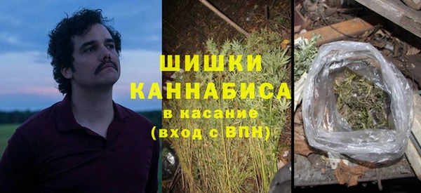 PSILOCYBIN Краснослободск