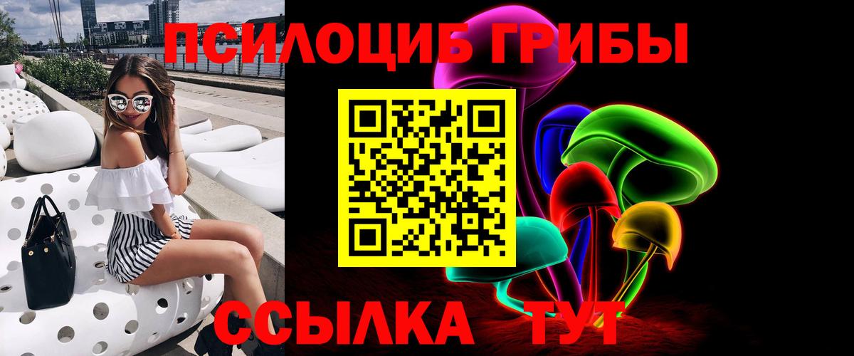 Псилоцибиновые грибы Cubensis  Вход с VPN  Можга  Псилоцибиновые грибы Cubensis 